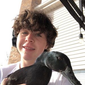 Meet your Posher, Noah